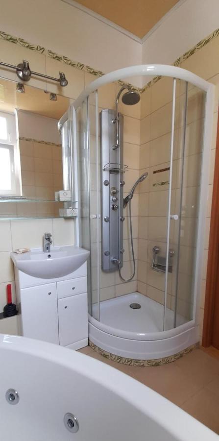 Appartamento Apartament Kasztanowy Gliwice Esterno foto